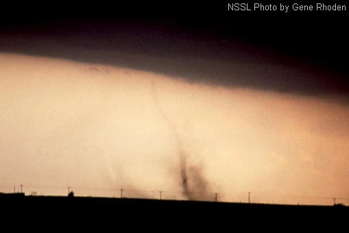 A dark, flat storm base fills the upper frame. Below it a narrow, faint column of lifted dust reaches from the horizon toward the cloud, with no white condensation funnel visible anywhere along it
