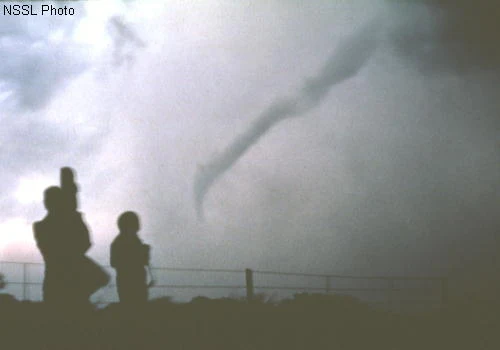 A thin, contorted, rope-like tornado leans across a pale grey sky behind curtains of heavy rain, with two people silhouetted in the foreground watching it